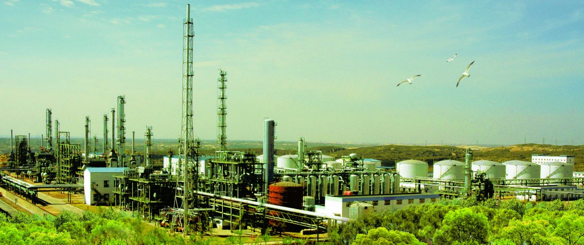 1592450678404625.jpeg 1592450678404625.jpeg