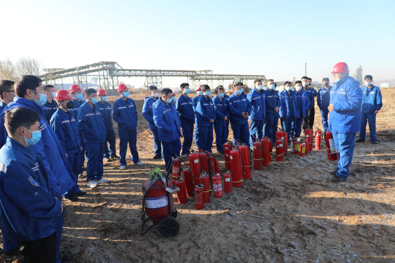 1668556544395866.png 11.png