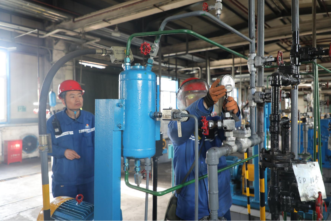 1700005537664992.png 11.png