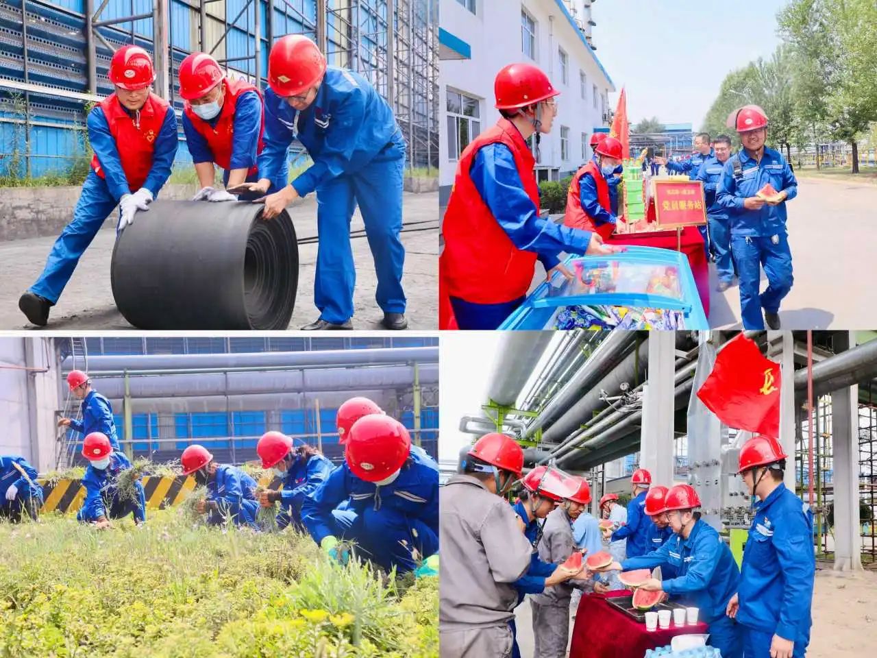 1734055463866228.jpeg 4.jpg