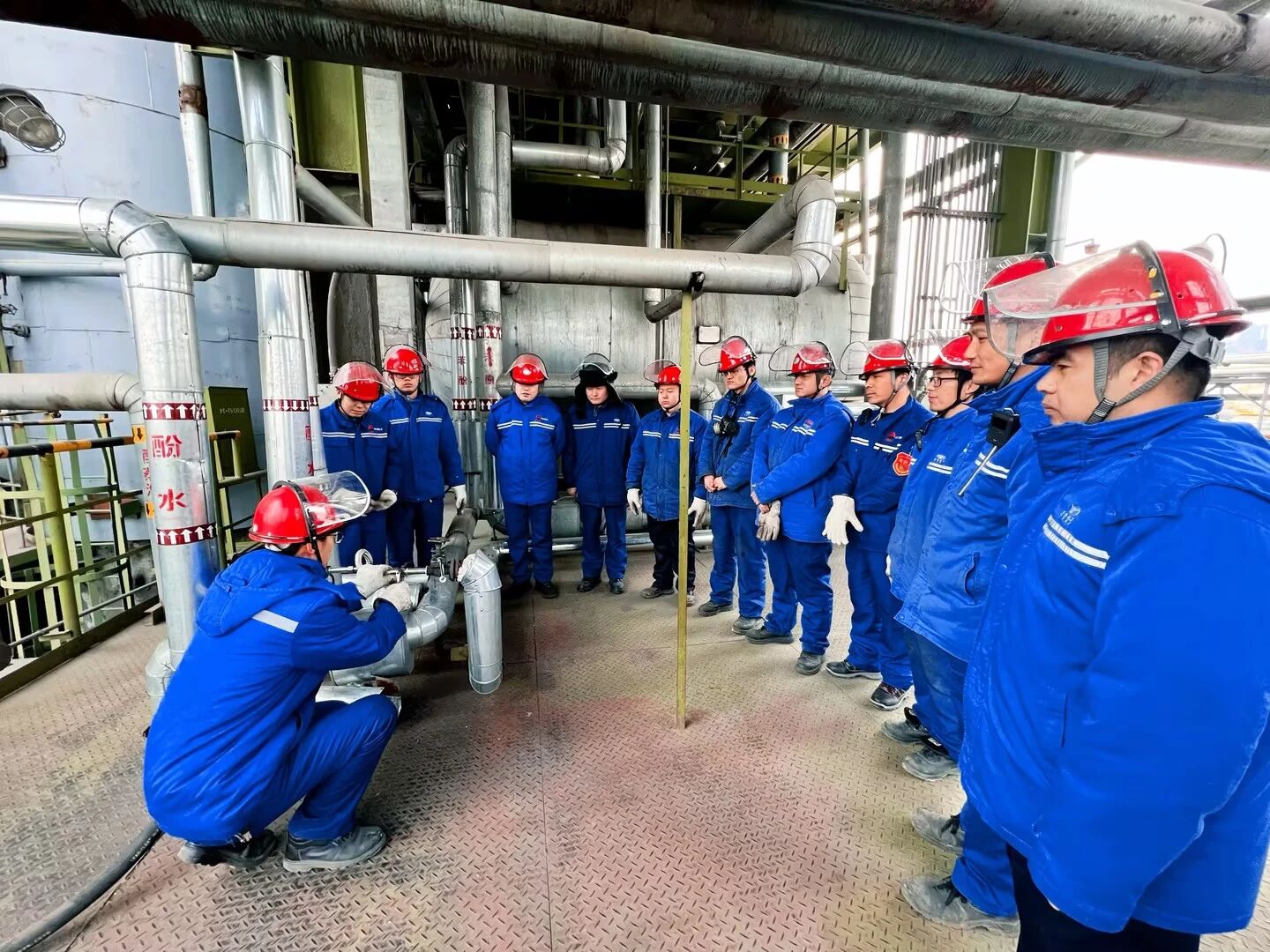 1772012213821905.jpeg 96c176612649c7bb58368e373c4d669a.jpg